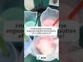 Interested in reverse engineering the formulation of a scalp essence?