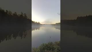 Bro, subscribe and leave a like for Sweden. #sweden #overland #youtubeshorts