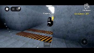 Playing lethal ape in roblox with my friend
