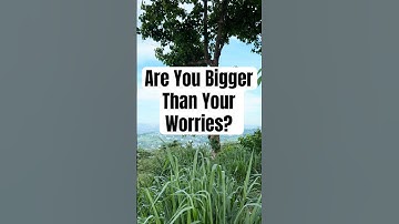 How to Find Peace in a Chaotic World