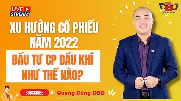 Xu hướng cổ phiếu 2022 | Đầu tư cổ phiếu dầu khí như thế nào? |  Quang Dũng DBD