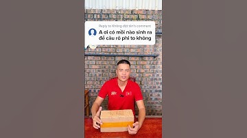 Mồi câu sinh ra để câu rô to 1-5kg #moicaurophivuong