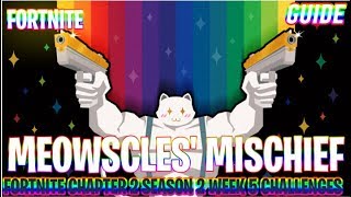 Meowscles Mischief Challenges | Fortnite chapter 2 season 2 Week 5| Guides | Ninya Tonaya