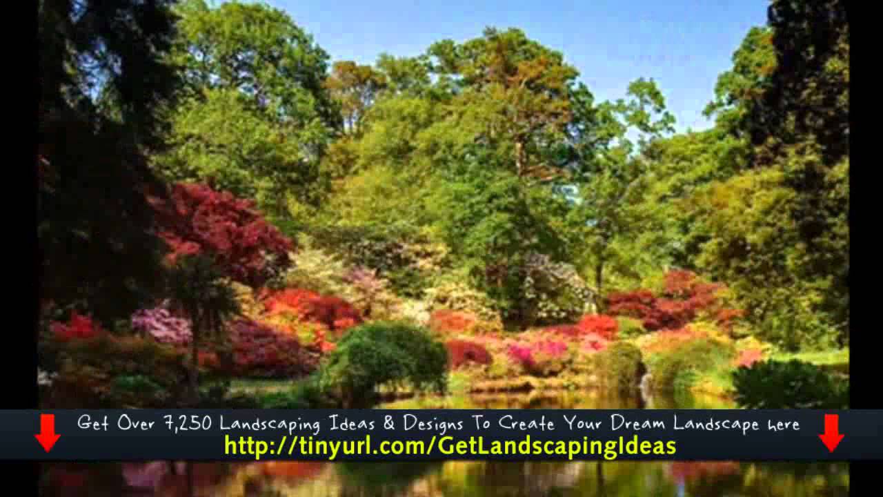Backyard Landscaping - YouTube