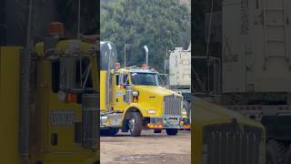 Hermosa Kenworth T800 #tractomulas #automobile #troquero #trailer #virales #truckdriver #trucker