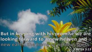 2 Peter 3:13, Holy Bible, NIV