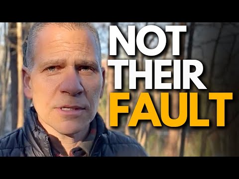 YouTube S Algorithm Is NOT Hiding Your Videos This Is 