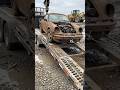 Junkyard to Icon: Porsche 911 (964) Turbo 💛