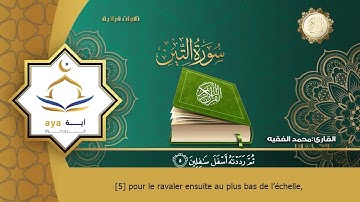 Sourate At-Tin | Mohammed Al-Faqih (95) سورة التين | محمد الفقيه