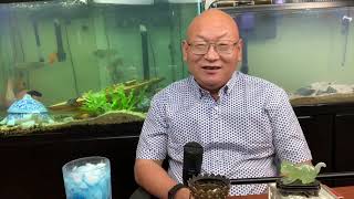 做视频三年来，“夸”的、“骂”的都不缺；重申一遍：俺不是穿越客，不要迷恋哥！（20201010第1554期）