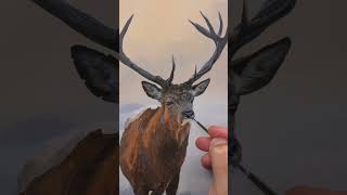 Stag