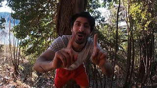 Mustafa Sal - Wait For You [Official Music Video]