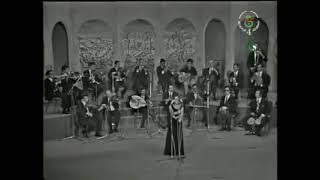 Magnifique chanson Kabyle des années 60  Tout ce qui est ancien est beau ⵣⵣⵣ♥️♥️♥️