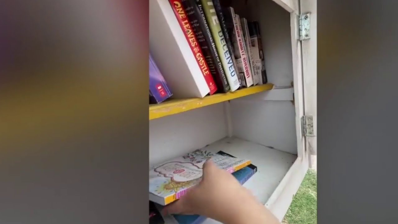 project-aims-to-inspire-readers-and-broaden-access-to-books-youtube