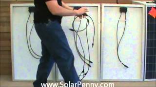 MC4 SPIDER   MC4 INTERCONNECT CABLE by SolarPennyStore 6,952 views 11 years ago 1 minute, 16 seconds