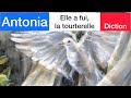Elle a fui, la tourterelle - Antonia - Les Contes d&#39;Hoffmann, french diction + translation