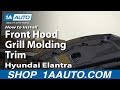 How To Install Replace Front Hood Grill Molding Trim 2001-06 Hyundai Elantra