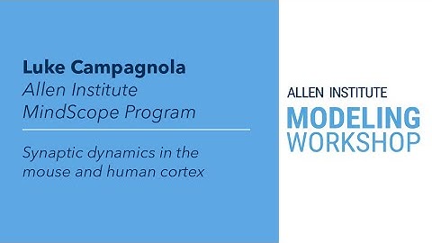 Allen Institute Modeling Workshop | Luke Campagnola