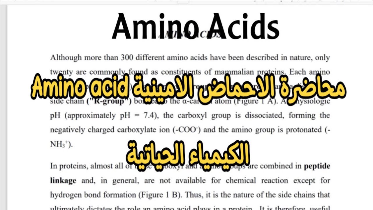 شرح محاضرة amino acid الاحماض الامينيه . الكيمياء الحياتية. قسم التحليلات/ الاستاذ علي السماري