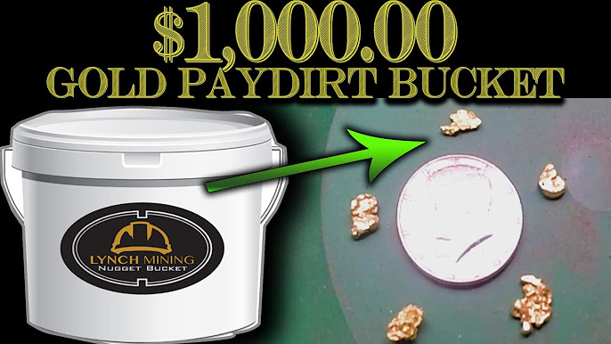 I buy gold Pay dirt from . Is it any good? Is it real Pay dirt? Gotta  watch to see! 