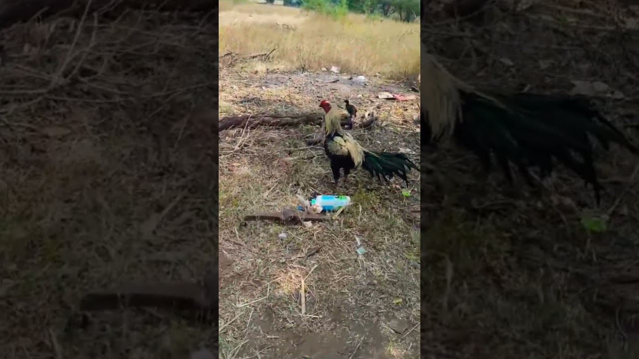 எங்களையும் ஏன் சேர்த்து இழுக்குற 