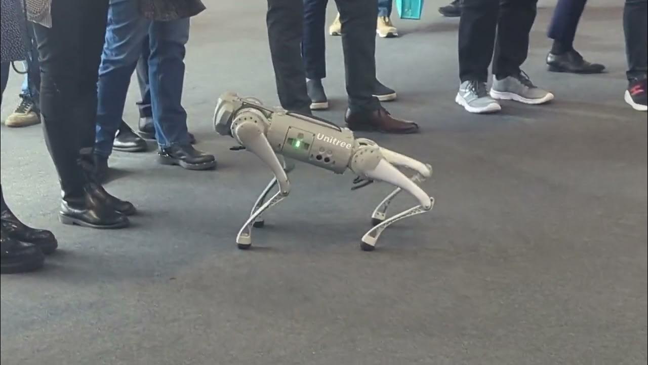 Unitree Go 1 Robot dog at Mobile World Congres MWC2023 YouTube