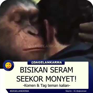 Monyet Udah pada ngopi belum?