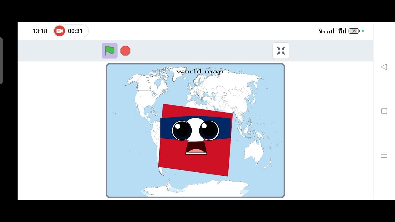 Flag band official 10