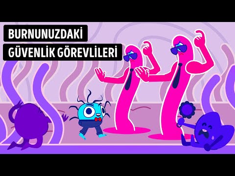 Nasıl Nefes Alıyorsunuz 👃 Animasyonlu Hikâye