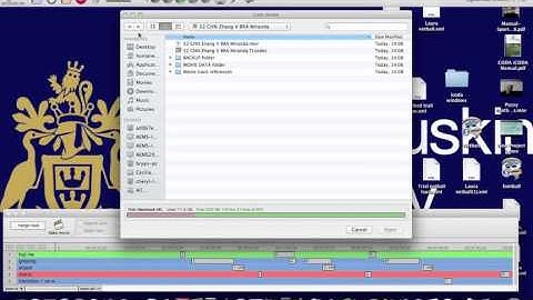 Importing timeline and video to sports code