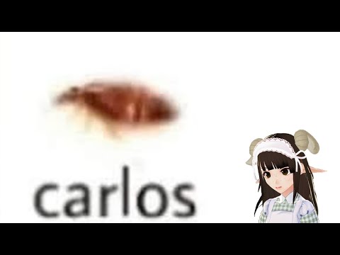 bug