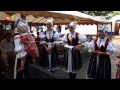 TVS: Regiony 14.8.2014