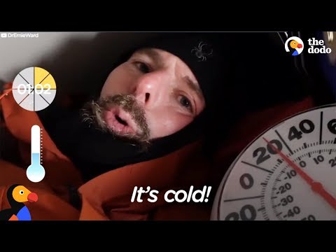 Veterinarian Stays in Freezing Doghouse to Show What It's Like for a Dog | The Dodo