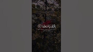 عسى ربنا أن يبدلنا خيرا منها #سورة_القلم #ماهر_المعيقلي #قرآن #follow #fyp #foryou
