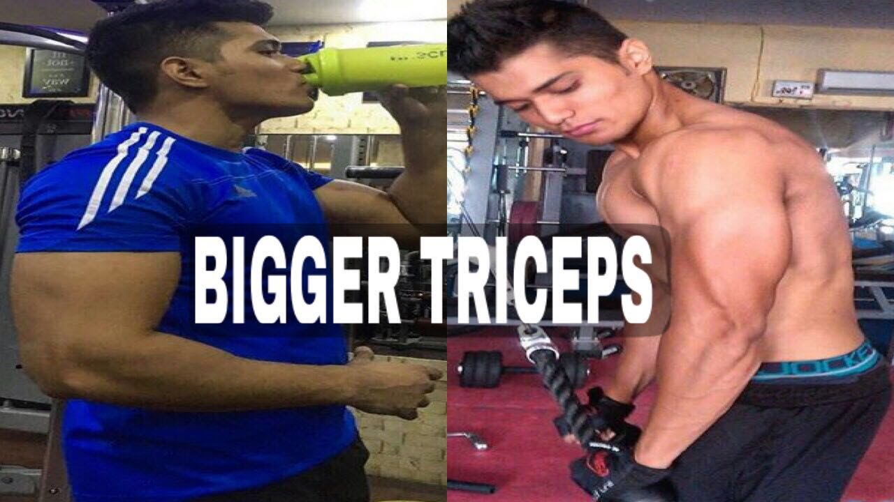 How To Get Bigger Triceps | Exercises for Bigger Triceps exercise 14.1 class 11