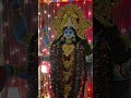 Shyama Kali puja 2026 At Kolkata #mahakali #shyama #kolkata #kumartuli #visarjan #2026