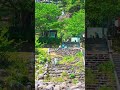夏が恋しい。田舎の夏って感じが好き。