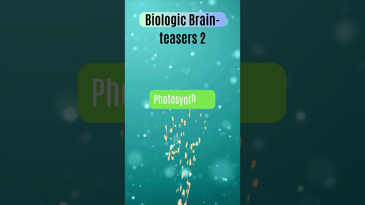 Crack the Code: A Riddle Adventure for Clever Minds! 🤓🔐 