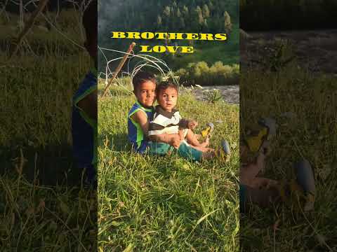 #littlebabybrothers #tulailvalley #gurez #kashmir #shorts #shortfeed #viral #youtubeshorts #trending