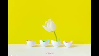 Aşk Mı Lazım - English   Turkish Lyrics