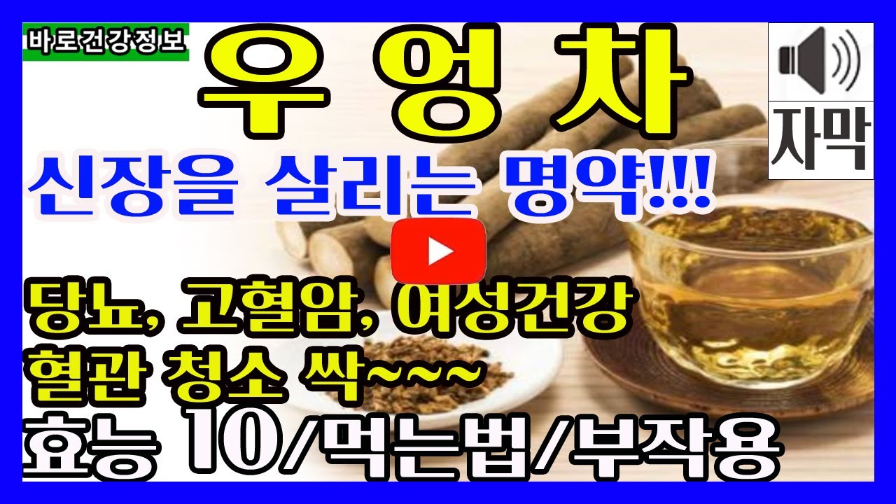 🌺우엉차효능🌺우엉차 먹는법, 우엉차 부작용, ️우엉 완벽정리 ️ - YouTube