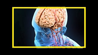 Breaking News Batten Disease Utah Parents Lose 3 Children In 3 Days To Rare Condition