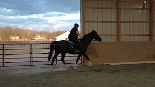 Cheery Acres March 2023 - Brandi Sturdivant Kupid Shuffle