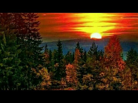 Happy Morning Whatsapp Status Inumkonjam Neram Tamil Song