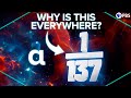 Understanding the Fine Structure Constant