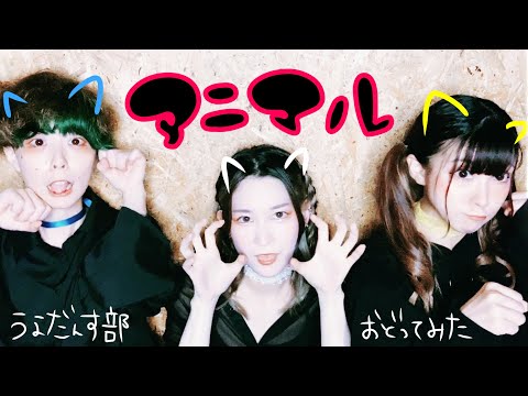 うえだんす部🅿️アニマル 踊ってみた(協力部員▶︎斎藤ゆう、田島繭)