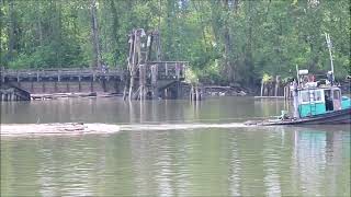 River Queen & Peewee ll, manoeuvring a log boom, May 3, 2024