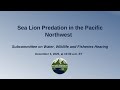 Sea Lion Predation in the Pacific Northwest | Subcommittee on Water, Wildlife and Fisheries