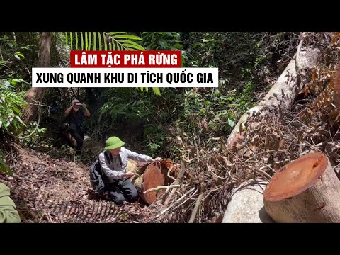Video Lâm tặc phá rừng xung quanh khu di tích quốc gia Hội... - youtube