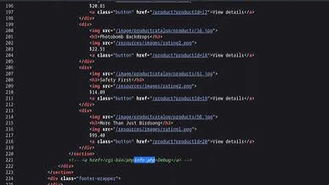 6.2.1 Lab: Information disclosure on debug page | 2023